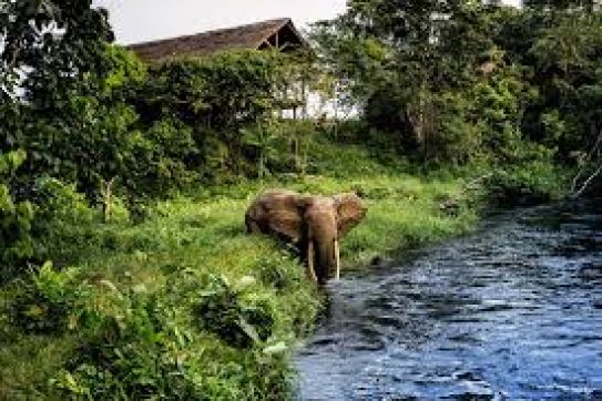 CẨM NANG DU LỊCH EQUATORIAL GUINEA