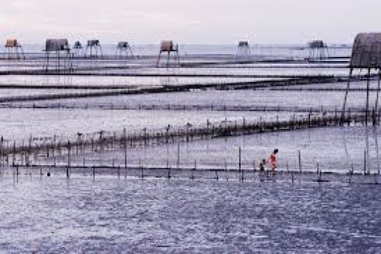 CẨM NANG DU LỊCH THÁI BÌNH